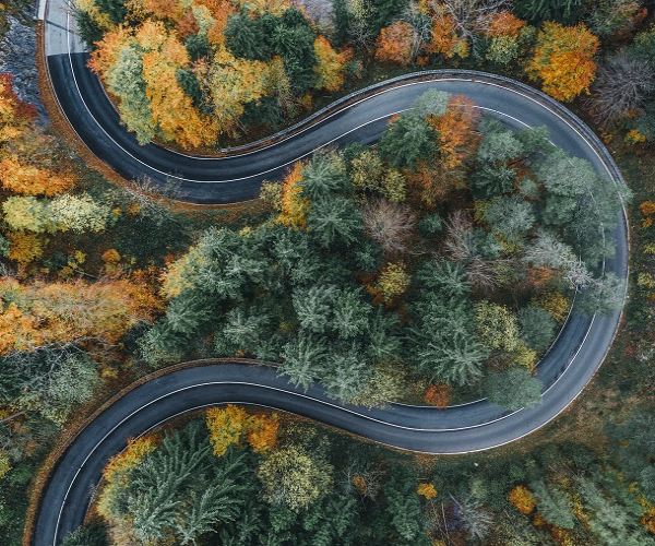 Birds eye view of winding round surrounded by forest